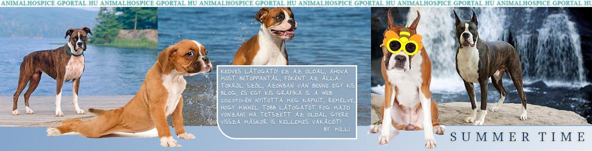 Animalhospice - An animal hospice where my own animals there will be a word.:)